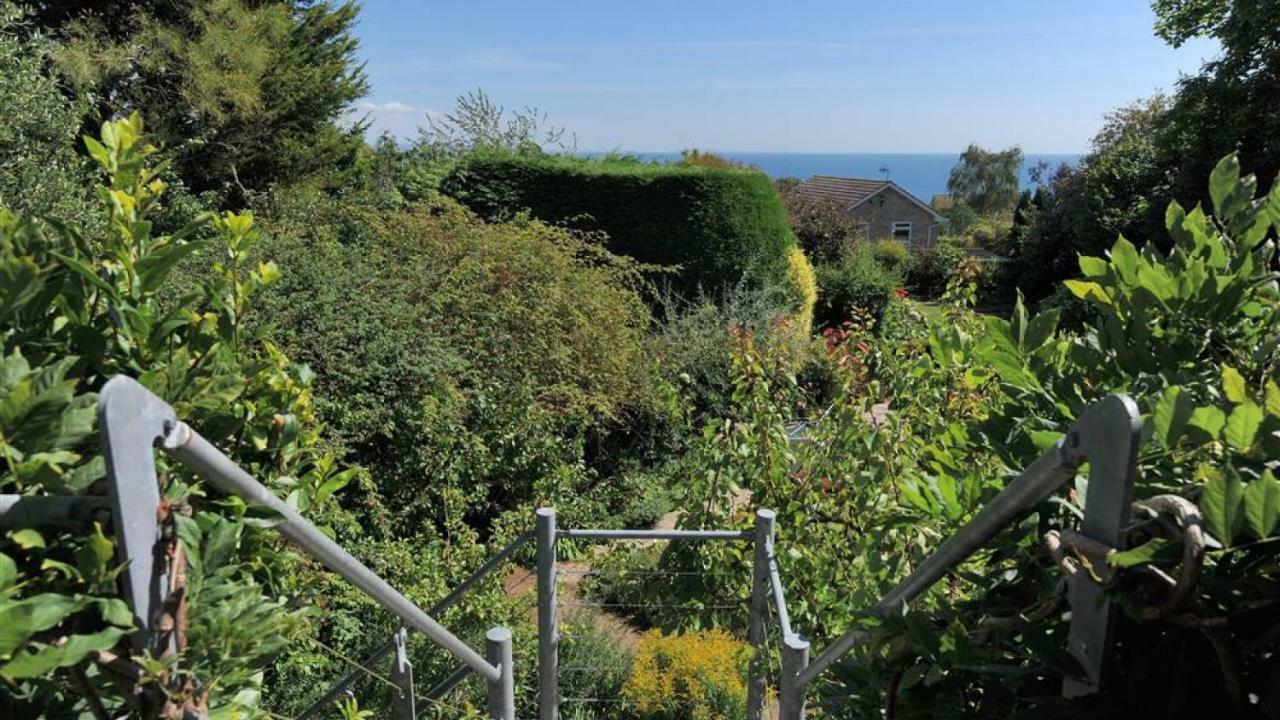 Little West Hill Studio Lyme Regis Exterior photo