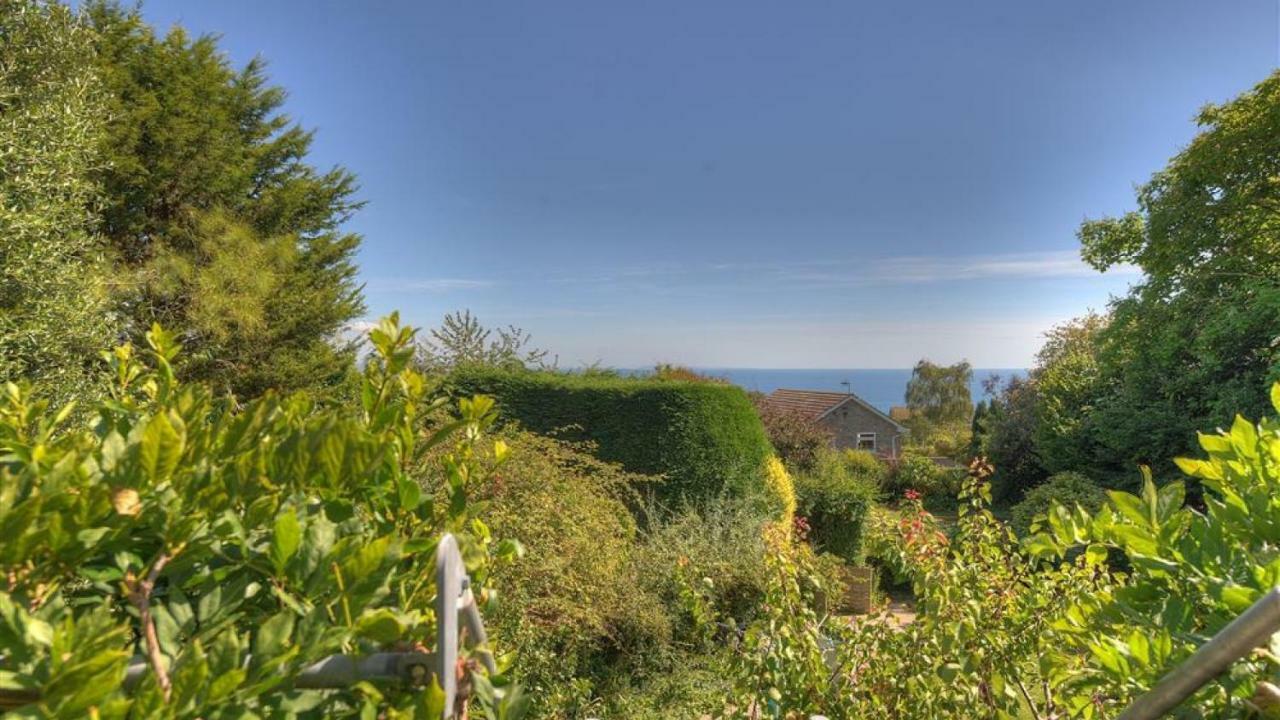 Little West Hill Studio Lyme Regis Exterior photo